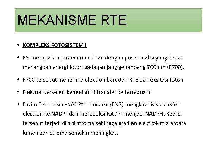MEKANISME RTE • KOMPLEKS FOTOSISTEM I • PSI merupakan protein membran dengan pusat reaksi