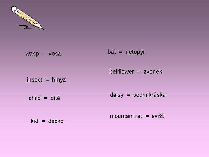 wasp = vosa bat = netopýr bellflower = zvonek insect = hmyz child =