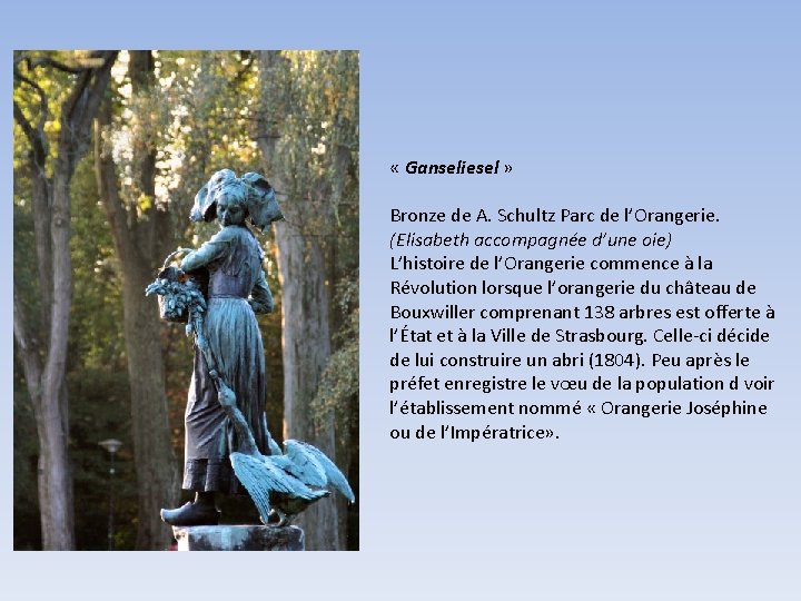  « Ganseliesel » Bronze de A. Schultz Parc de l’Orangerie. (Elisabeth accompagnée d’une