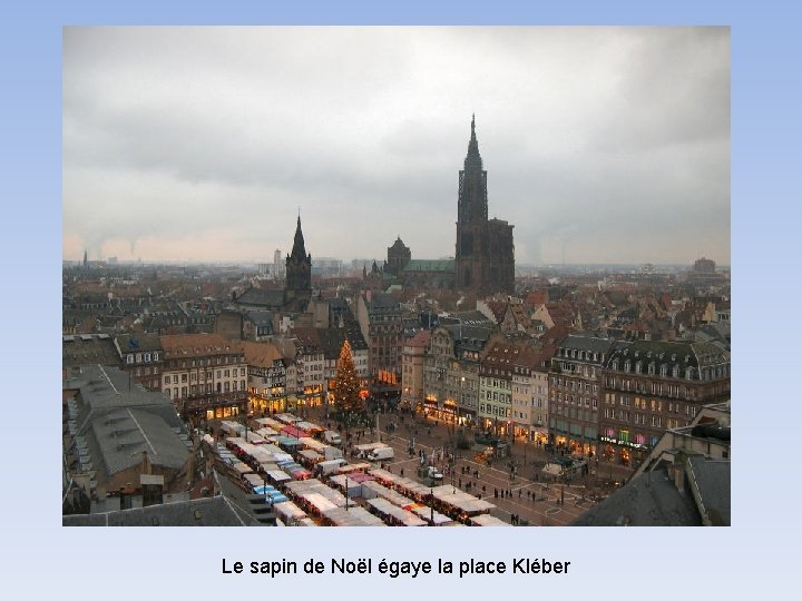 Le sapin de Noël égaye la place Kléber 