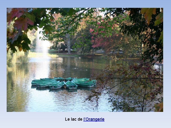 Le lac de l’Orangerie 