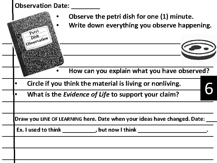 Observation Date: ____ • Observe the petri dish for one (1) minute. • Write