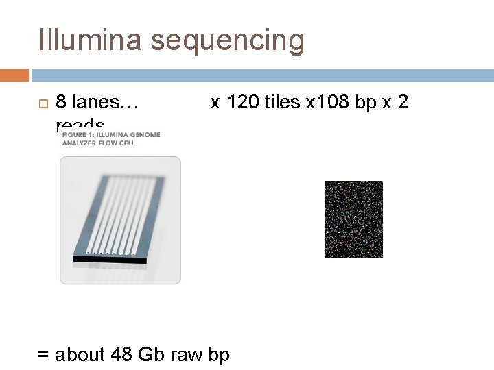 Illumina sequencing 8 lanes… reads… x 120 tiles x 108 bp x 2 =