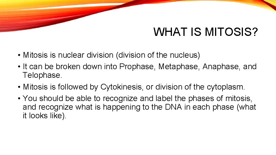 WHAT IS MITOSIS? • Mitosis is nuclear division (division of the nucleus) • It