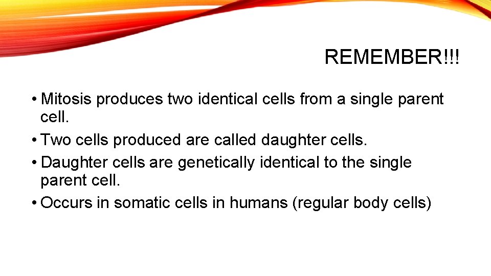 REMEMBER!!! • Mitosis produces two identical cells from a single parent cell. • Two