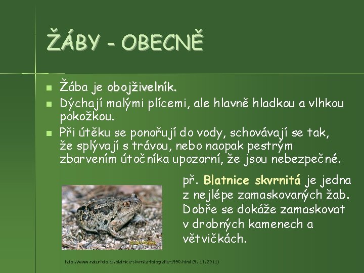 ŽÁBY - OBECNĚ Žába je obojživelník. Dýchají malými plícemi, ale hlavně hladkou a vlhkou