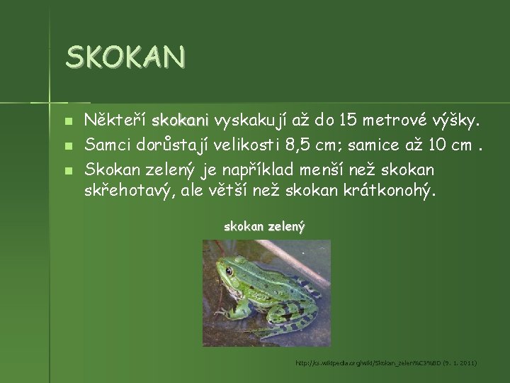 SKOKAN Někteří skokani vyskakují až do 15 metrové výšky. Samci dorůstají velikosti 8, 5