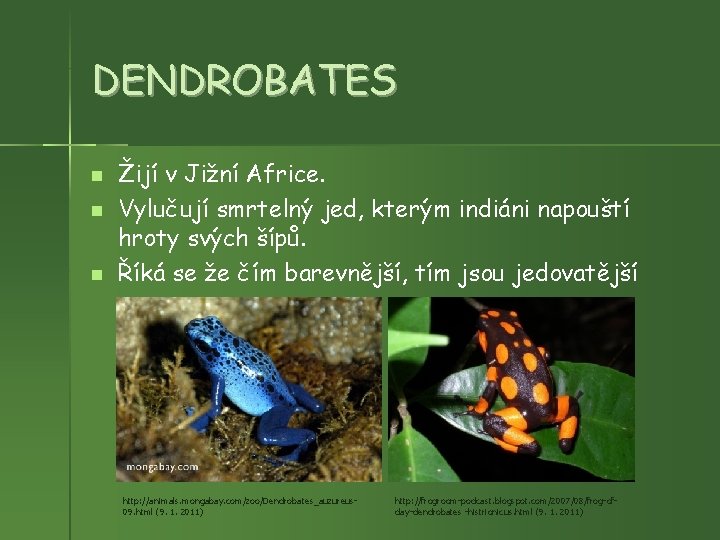 DENDROBATES Žijí v Jižní Africe. Vylučují smrtelný jed, kterým indiáni napouští hroty svých šípů.