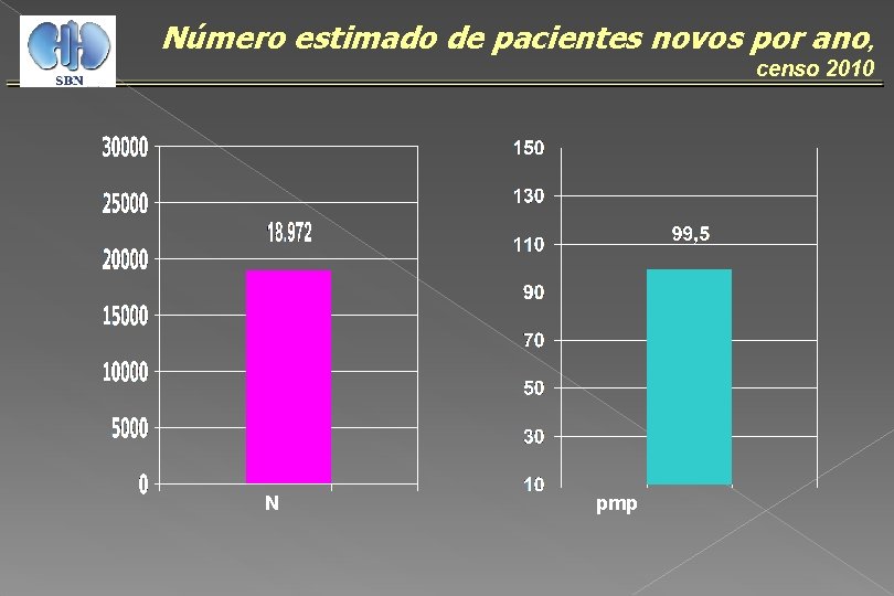 Número estimado de pacientes novos por ano, censo 2010 N pmp 