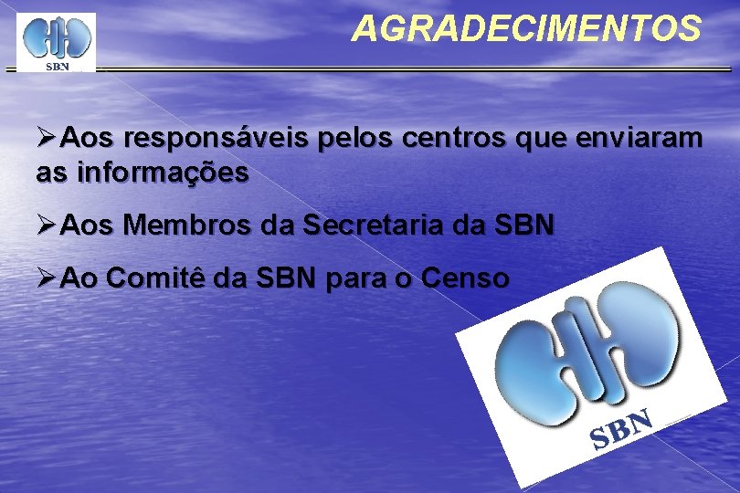 AGRADECIMENTOS ØAos responsáveis pelos centros que enviaram as informações ØAos Membros da Secretaria da