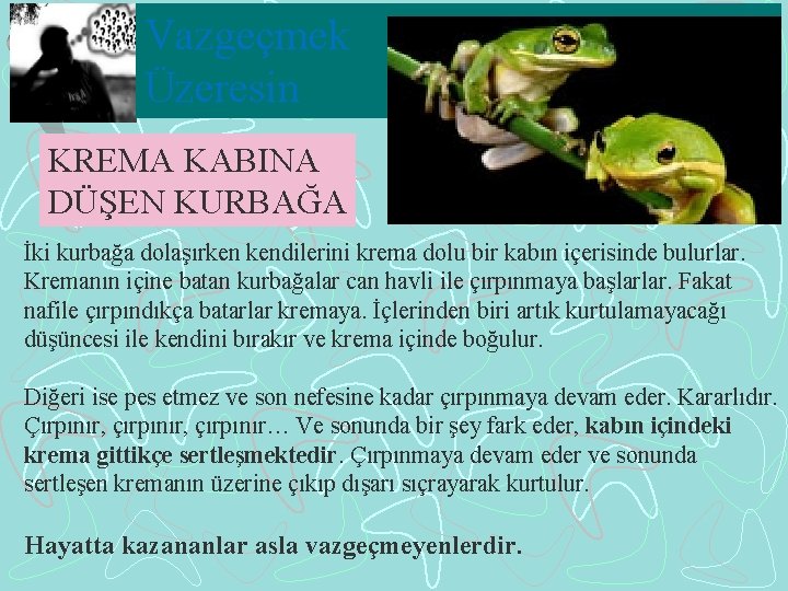 Vazgeçmek Üzeresin KREMA KABINA DÜŞEN KURBAĞA İki kurbağa dolaşırken kendilerini krema dolu bir kabın