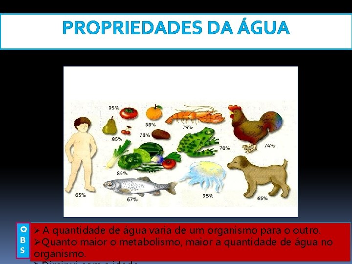 PROPRIEDADES DA ÁGUA O Ø A quantidade de água varia de um organismo para