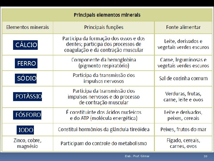 SAIS MINERAIS CÁLCIO FERRO SÓDIO POTÁSSIO FÓSFORO IODO Elab. : Prof. Gilmar 20 