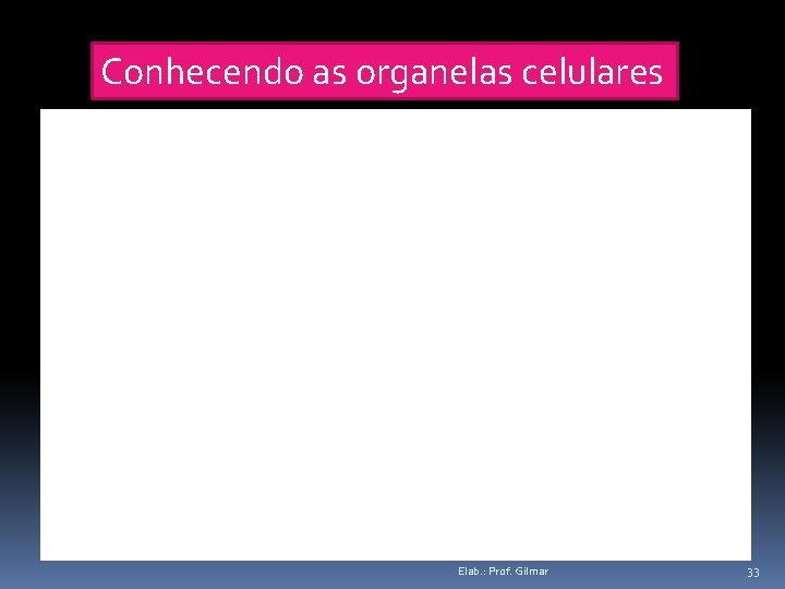 Conhecendo as organelas celulares Elab. : Prof. Gilmar 33 