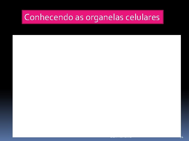 Conhecendo as organelas celulares Elab. : Prof. Gilmar 34 