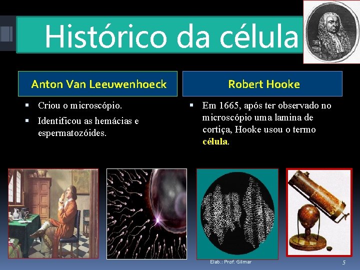 Histórico da célula Anton Van Leeuwenhoeck Criou o microscópio. Identificou as hemácias e espermatozóides.