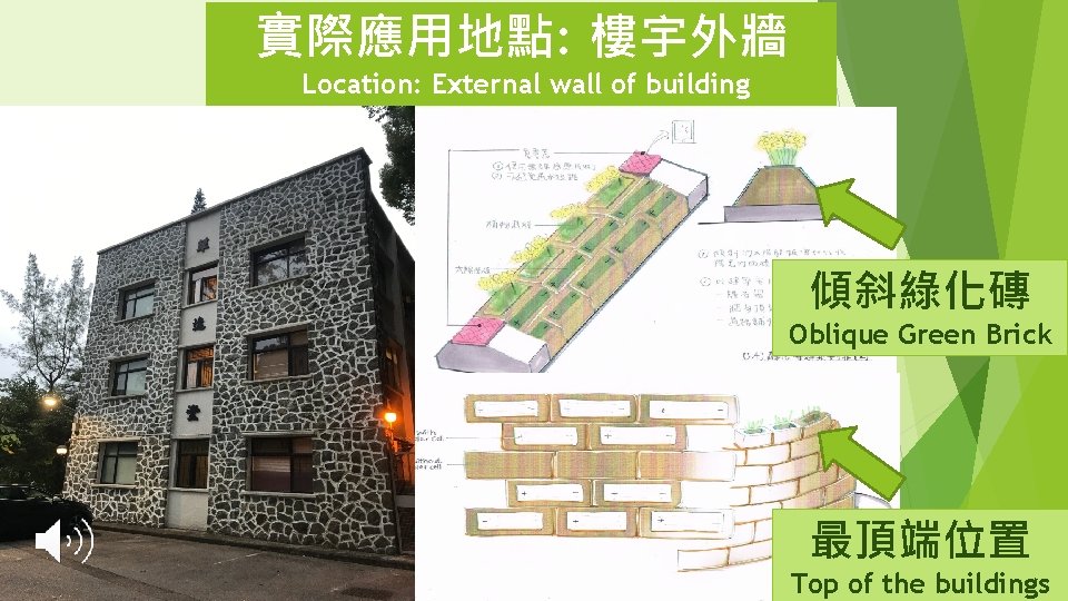 實際應用地點: 樓宇外牆 Location: External wall of building 傾斜綠化磚 Oblique Green Brick 最頂端位置 Top of