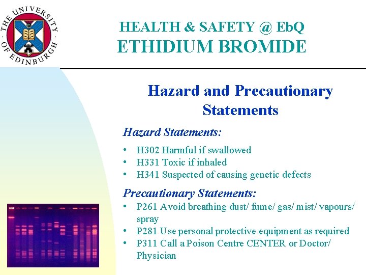 HEALTH & SAFETY @ Eb. Q ETHIDIUM BROMIDE Hazard and Precautionary Statements Hazard Statements: