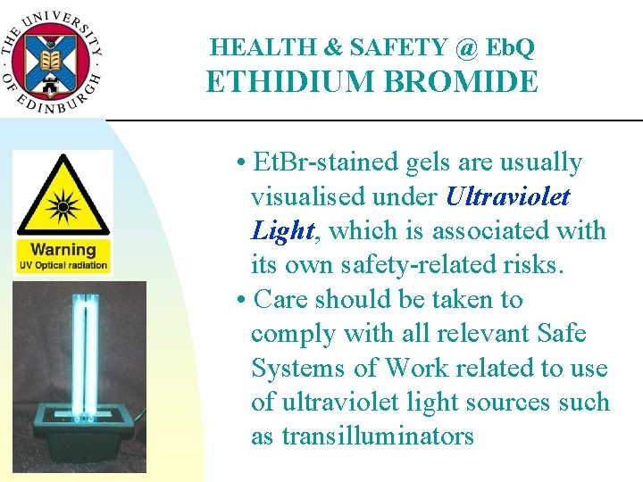HEALTH & SAFETY @ Eb. Q ETHIDIUM BROMIDE • Et. Br-stained gels are usually