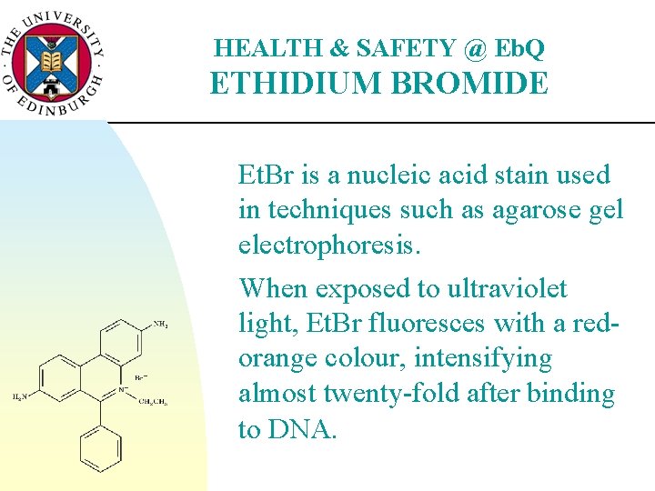 HEALTH & SAFETY @ Eb. Q ETHIDIUM BROMIDE Et. Br is a nucleic acid