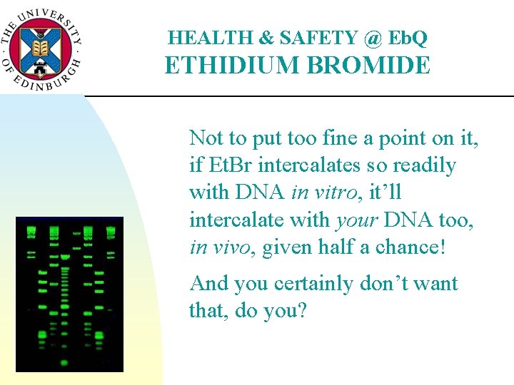 HEALTH & SAFETY @ Eb. Q ETHIDIUM BROMIDE Not to put too fine a