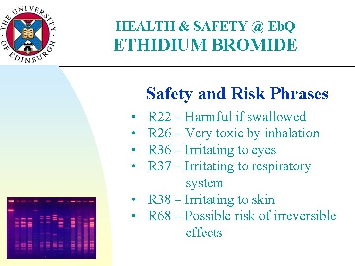 HEALTH & SAFETY @ Eb. Q ETHIDIUM BROMIDE Safety and Risk Phrases • •
