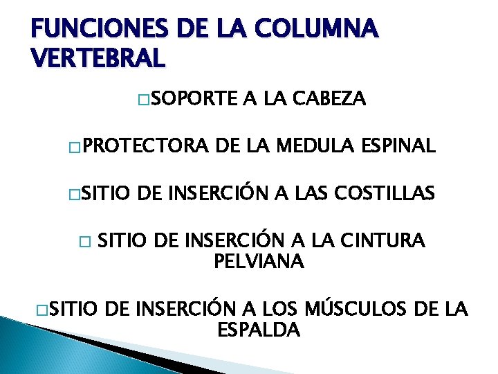 FUNCIONES DE LA COLUMNA VERTEBRAL �SOPORTE �PROTECTORA �SITIO � �SITIO A LA CABEZA DE