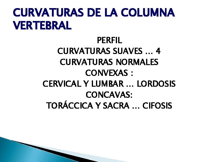 CURVATURAS DE LA COLUMNA VERTEBRAL PERFIL CURVATURAS SUAVES … 4 CURVATURAS NORMALES CONVEXAS :