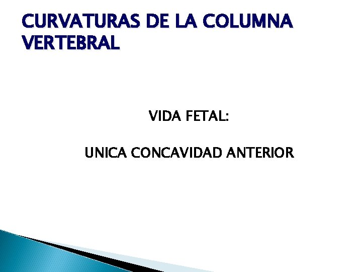 CURVATURAS DE LA COLUMNA VERTEBRAL VIDA FETAL: UNICA CONCAVIDAD ANTERIOR 