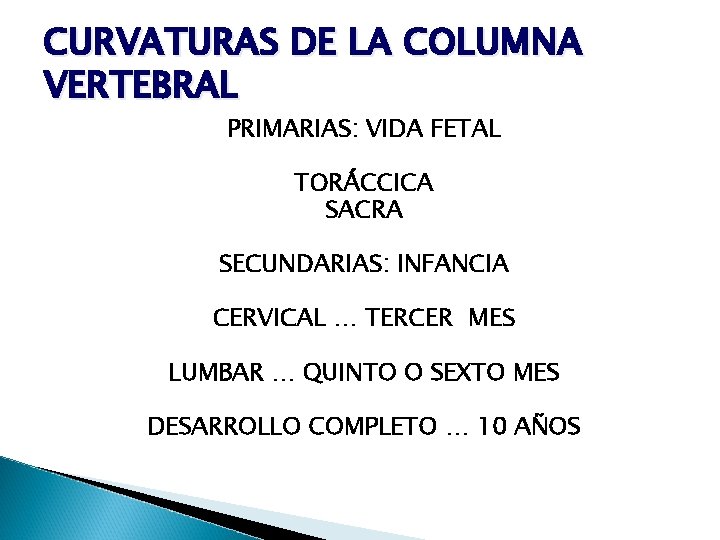 CURVATURAS DE LA COLUMNA VERTEBRAL PRIMARIAS: VIDA FETAL TORÁCCICA SACRA SECUNDARIAS: INFANCIA CERVICAL …