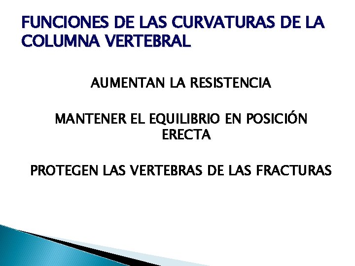 FUNCIONES DE LAS CURVATURAS DE LA COLUMNA VERTEBRAL AUMENTAN LA RESISTENCIA MANTENER EL EQUILIBRIO