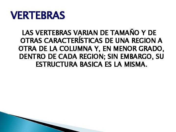 VERTEBRAS LAS VERTEBRAS VARIAN DE TAMAÑO Y DE OTRAS CARACTERÍSTICAS DE UNA REGION A