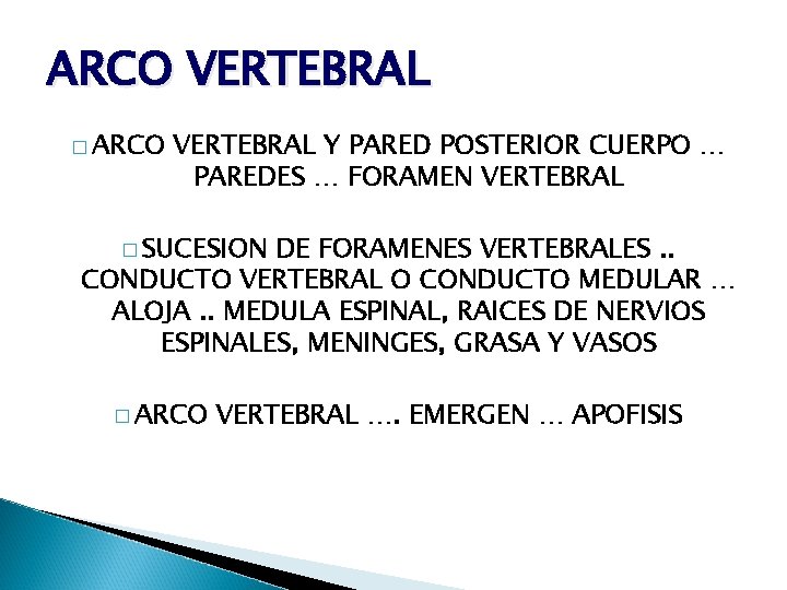 ARCO VERTEBRAL � ARCO VERTEBRAL Y PARED POSTERIOR CUERPO … PAREDES … FORAMEN VERTEBRAL