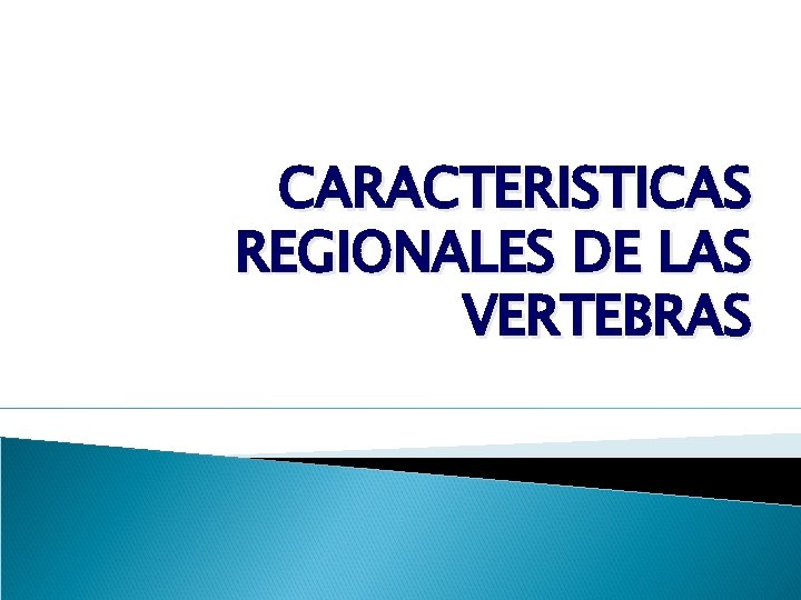 CARACTERISTICAS REGIONALES DE LAS VERTEBRAS 