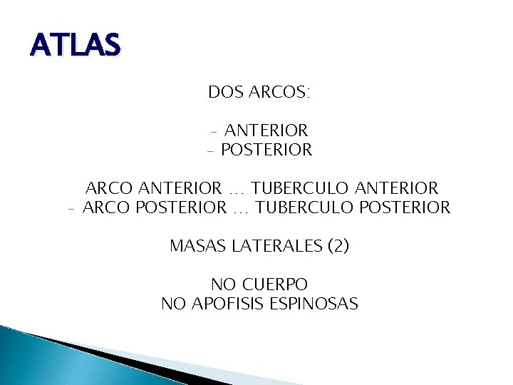 ATLAS DOS ARCOS: - - ANTERIOR POSTERIOR ARCO ANTERIOR … TUBERCULO ANTERIOR ARCO POSTERIOR