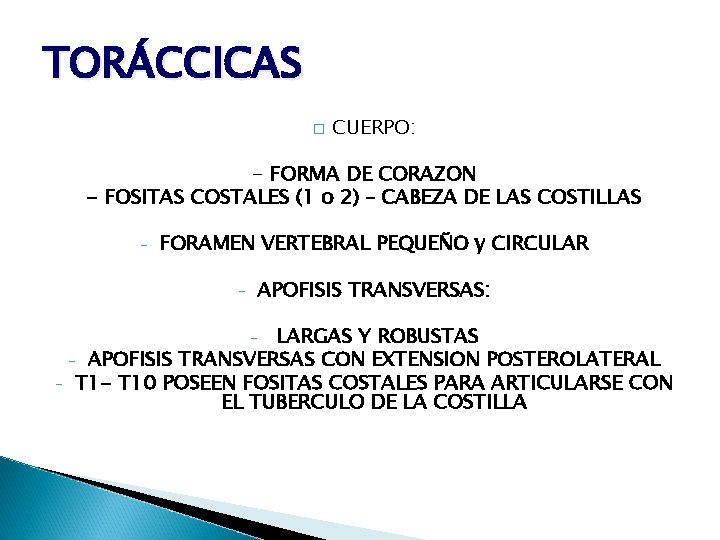 TORÁCCICAS � CUERPO: - FORMA DE CORAZON - FOSITAS COSTALES (1 o 2) –