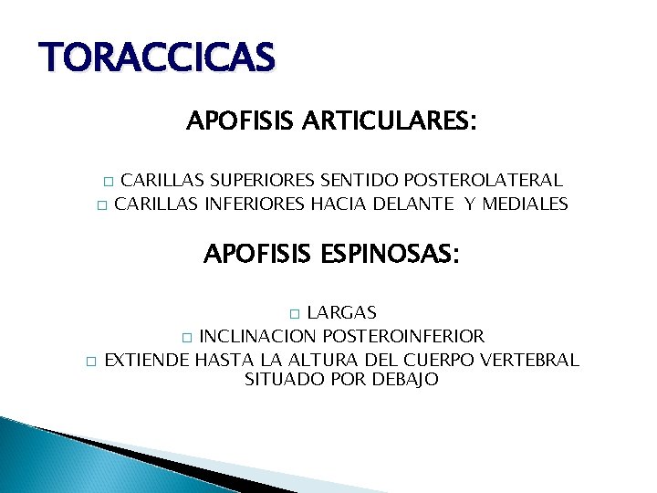TORACCICAS APOFISIS ARTICULARES: CARILLAS SUPERIORES SENTIDO POSTEROLATERAL CARILLAS INFERIORES HACIA DELANTE Y MEDIALES �