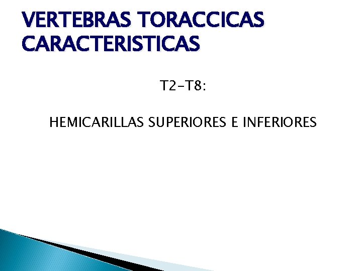 VERTEBRAS TORACCICAS CARACTERISTICAS T 2 -T 8: HEMICARILLAS SUPERIORES E INFERIORES 