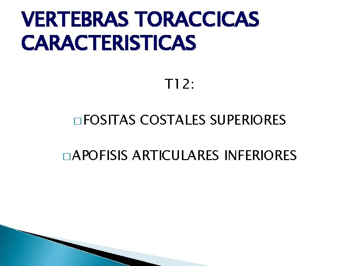 VERTEBRAS TORACCICAS CARACTERISTICAS T 12: � FOSITAS � APOFISIS COSTALES SUPERIORES ARTICULARES INFERIORES 