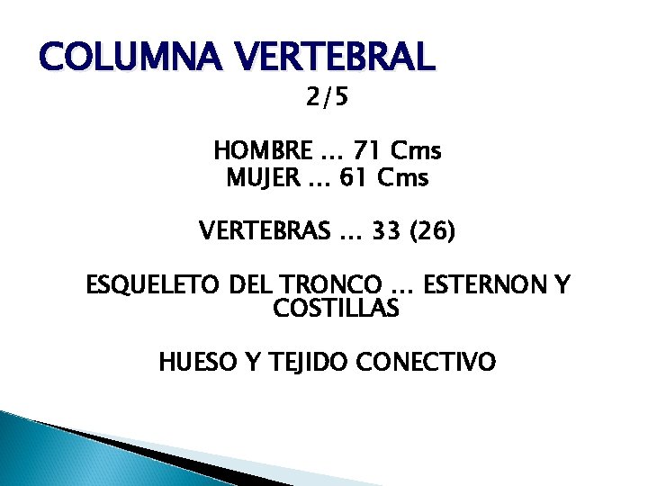 COLUMNA VERTEBRAL 2/5 HOMBRE … 71 Cms MUJER … 61 Cms VERTEBRAS … 33