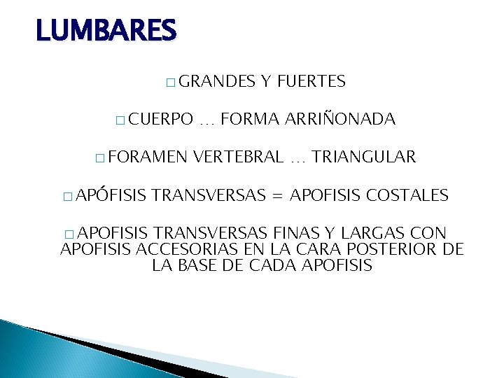 LUMBARES � GRANDES � CUERPO � FORAMEN � APÓFISIS � APOFISIS Y FUERTES …