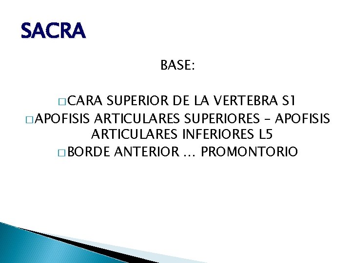 SACRA BASE: � CARA SUPERIOR DE LA VERTEBRA S 1 � APOFISIS ARTICULARES SUPERIORES