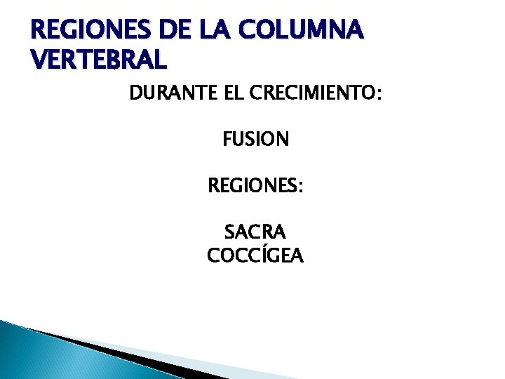 REGIONES DE LA COLUMNA VERTEBRAL DURANTE EL CRECIMIENTO: FUSION REGIONES: SACRA COCCÍGEA 