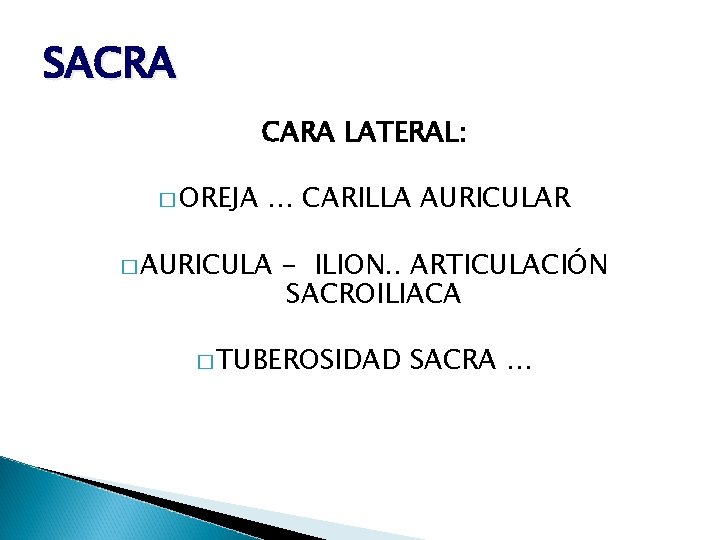 SACRA CARA LATERAL: � OREJA … CARILLA AURICULAR � AURICULA - ILION. . ARTICULACIÓN