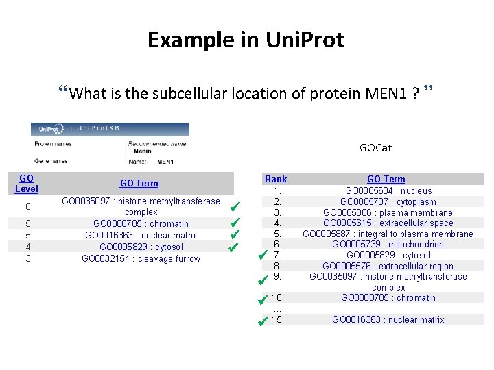Example in Uni. Prot “What is the subcellular location of protein MEN 1 ?