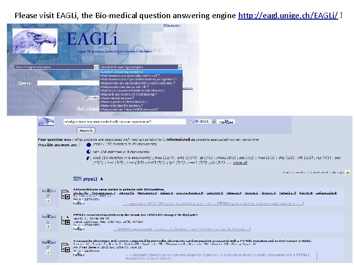 Please visit EAGLi, the Bio-medical question answering engine http: //eagl. unige. ch/EAGLi/ ! 