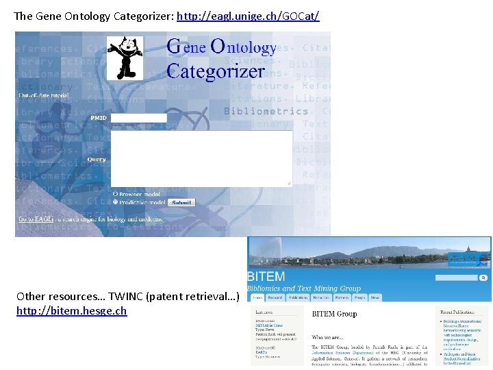 The Gene Ontology Categorizer: http: //eagl. unige. ch/GOCat/ Other resources… TWINC (patent retrieval…) http: