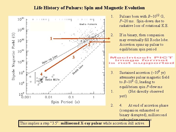Life History of Pulsars: Spin and Magnetic Evolution 1 1. Pulsars born with B~1012