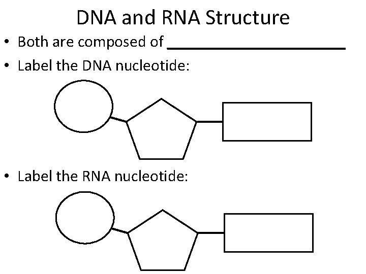 DNA and RNA Structure • Both are composed of ___________ • Label the DNA