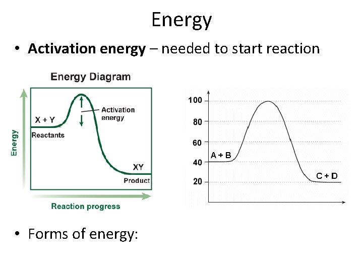 Energy • Activation energy – needed to start reaction • Forms of energy: 